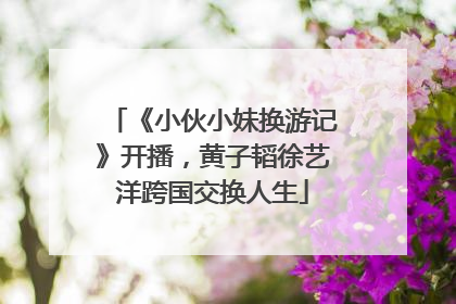 《小伙小妹换游记》开播，黄子韬徐艺洋跨国交换人生