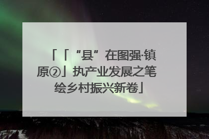 「“县”在图强·镇原②」执产业发展之笔 绘乡村振兴新卷