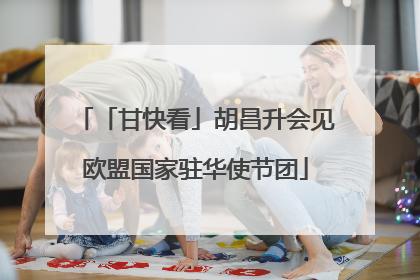 「甘快看」胡昌升会见欧盟国家驻华使节团