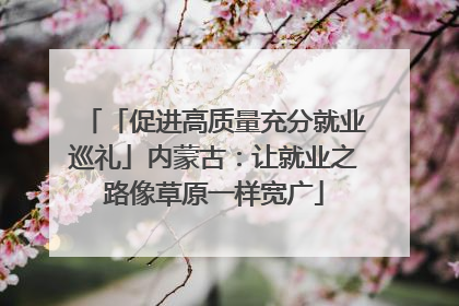 「促进高质量充分就业巡礼」内蒙古：让就业之路像草原一样宽广