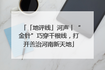 「地评线」河声丨“金针”巧穿千根线，打开善治河南新天地