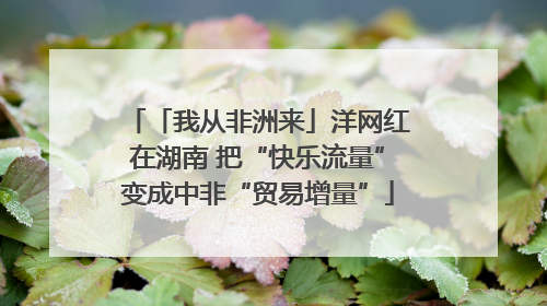 「我从非洲来」洋网红在湖南 把“快乐流量”变成中非“贸易增量”