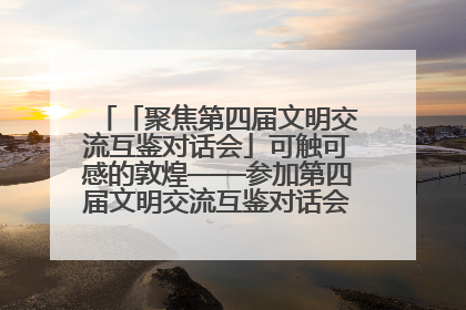 「聚焦第四届文明交流互鉴对话会」可触可感的敦煌——参加第四届文明交流互鉴对话会的外宾参观上元市集