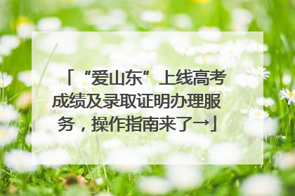 “爱山东”上线高考成绩及录取证明办理服务，操作指南来了→