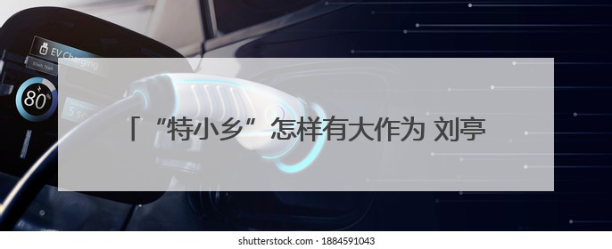 “特小乡”怎样有大作为 刘亭：有为政府和有效市场相向发力