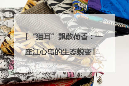 “猫耳”飘散荷香：一座江心岛的生态蜕变