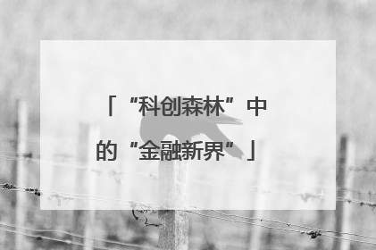 “科创森林”中的“金融新界”