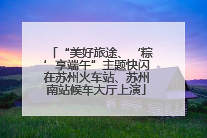 “美好旅途、‘粽’享端午”主题快闪在苏州火车站、苏州南站候车大厅上演