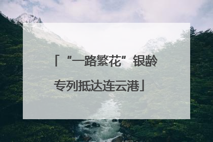 “一路繁花”银龄专列抵达连云港