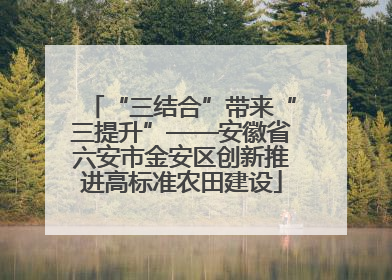 “三结合”带来“三提升”——安徽省六安市金安区创新推进高标准农田建设