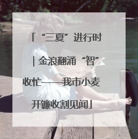 “三夏”进行时｜金浪翻涌“智”收忙——我市小麦开镰收割见闻