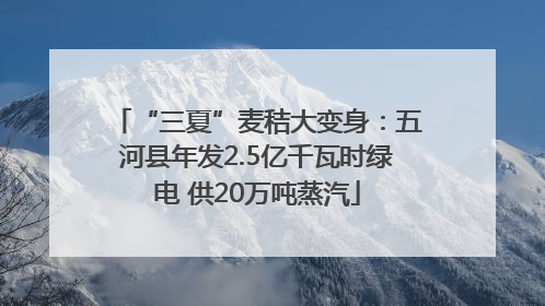 “三夏”麦秸大变身：五河县年发2.5亿千瓦时绿电 供20万吨蒸汽