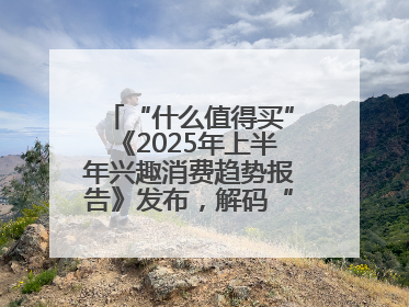 “什么值得买”《2025年上半年兴趣消费趋势报告》发布，解码“心价比”时代兴趣消费新范式