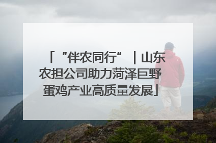 “伴农同行”｜山东农担公司助力菏泽巨野蛋鸡产业高质量发展