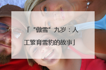 “傲雪”九岁：人工繁育雪豹的故事