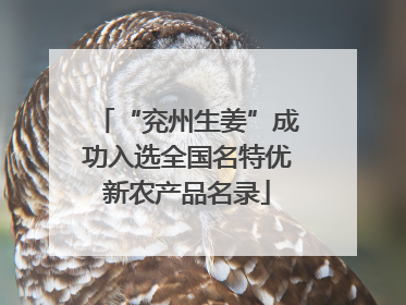 “兖州生姜”成功入选全国名特优新农产品名录