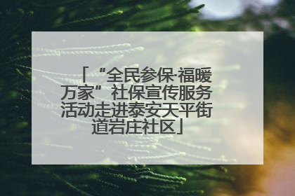 “全民参保·福暖万家”社保宣传服务活动走进泰安天平街道岩庄社区