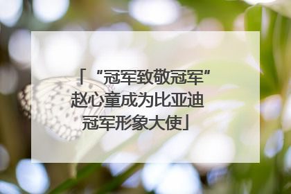 “冠军致敬冠军” 赵心童成为比亚迪冠军形象大使