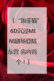 “加菲猫”6D沉浸MINI剧场登陆东营 省内首个！