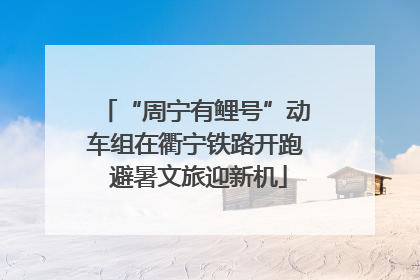 “周宁有鲤号”动车组在衢宁铁路开跑 避暑文旅迎新机