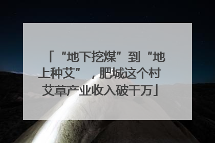 “地下挖煤”到“地上种艾”，肥城这个村艾草产业收入破千万