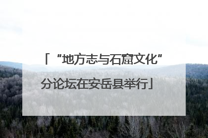 “地方志与石窟文化”分论坛在安岳县举行