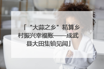“大蒜之乡”精算乡村振兴幸福账——成武县大田集镇见闻