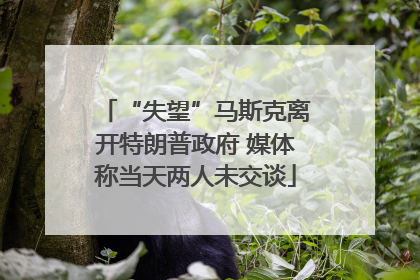 “失望”马斯克离开特朗普政府 媒体称当天两人未交谈