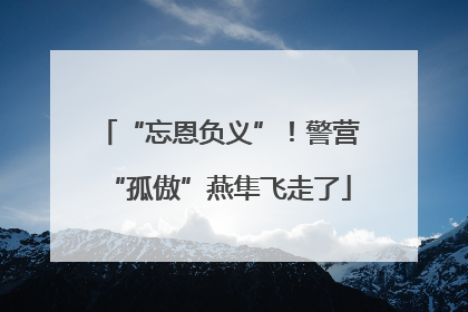 “忘恩负义”！警营“孤傲”燕隼飞走了