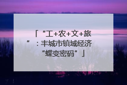 “工+农+文+旅”：丰城市镇域经济“蝶变密码”