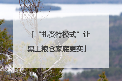 “扎赉特模式”让黑土粮仓家底更实