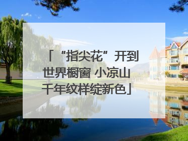 “指尖花”开到世界橱窗 小凉山千年纹样绽新色