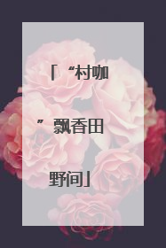“村咖”飘香田野间