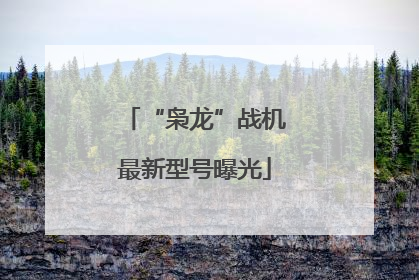 “枭龙”战机最新型号曝光