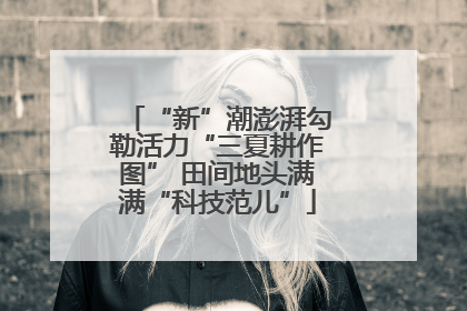 “新”潮澎湃勾勒活力“三夏耕作图” 田间地头满满“科技范儿”