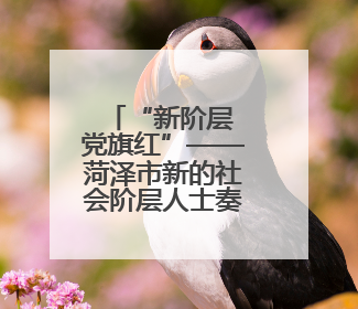 “新阶层 党旗红”——菏泽市新的社会阶层人士奏响七一赞歌