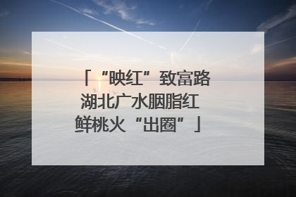 “映红”致富路 湖北广水胭脂红鲜桃火“出圈”