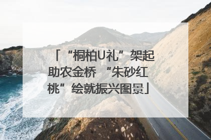 “桐柏U礼”架起助农金桥 “朱砂红桃”绘就振兴图景