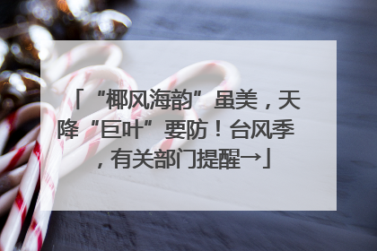 “椰风海韵”虽美，天降“巨叶”要防！台风季，有关部门提醒→