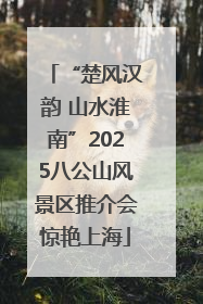 “楚风汉韵 山水淮南”2025八公山风景区推介会惊艳上海