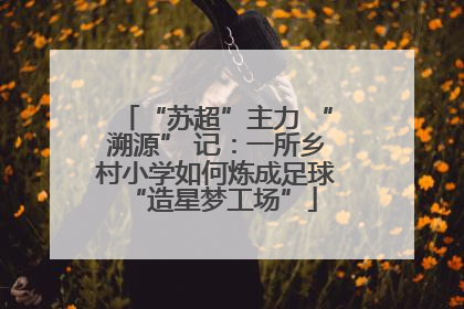 “苏超”主力 “溯源” 记：一所乡村小学如何炼成足球 “造星梦工场”