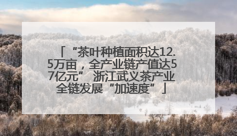 “茶叶种植面积达12.5万亩，全产业链产值达57亿元” 浙江武义茶产业全链发展“加速度”