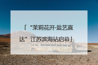 “茉莉花开·盐艺直达”江苏滨海站启幕