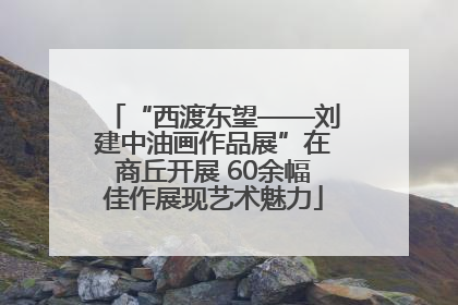 “西渡东望——刘建中油画作品展”在商丘开展 60余幅佳作展现艺术魅力