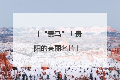 “贵马”！贵阳的亮丽名片