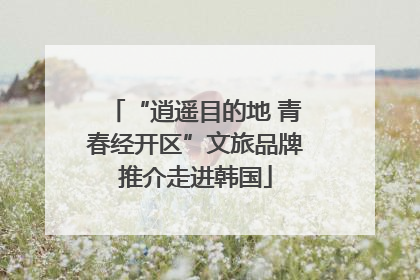 “逍遥目的地 青春经开区”文旅品牌推介走进韩国