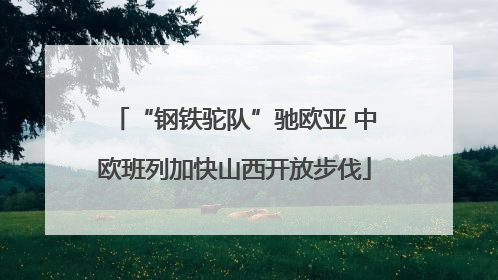 “钢铁驼队”驰欧亚 中欧班列加快山西开放步伐