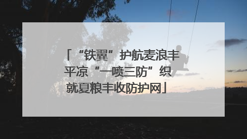 “铁翼”护航麦浪丰 平凉“一喷三防”织就夏粮丰收防护网
