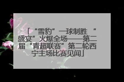 “雪豹”一球制胜 “盛宴”火爆全场——第二届“青超联赛”第二轮西宁主场比赛见闻