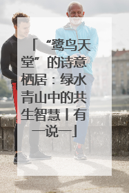 “鹭鸟天堂”的诗意栖居：绿水青山中的共生智慧丨有一说一
